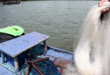 Seguro Defeso para Pescadores: PF deflagra operação contra fraudes no Ceará e mais 11 estados