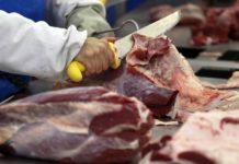 Consumo de carne bovina cai 20% e atinge o menor nível em 26 anos no país