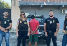 Policia Civil de Quiterianópolis prende homem acusado de violência doméstica e posse ilegal de armas