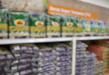 Pai de sete filhos preso por furtar 10 kg de arroz é absolvido pela Justiça no Ceará