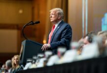 Trump anuncia nova candidatura à presidência dos EUA em 2024