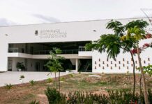 UFC oferta mais de 6 mil vagas em cursos de graduação presenciais na capital e no interior do Ceará