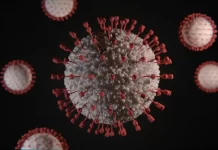 Agência avalia que pandemia da Covid-19 surgiu de vazamento em laboratório chinês