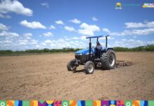 Promam já atendeu a mais de 800 famílias agricultoras de Nova Russas em 2023