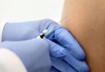 Anvisa aprova uma nova vacina contra a dengue