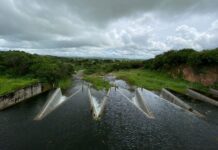 Ceará chega a 51 açudes sangrando; confira situação por bacia hidrográfica