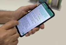 Motoristas já podem emitir o documento do carro através do WhatsApp