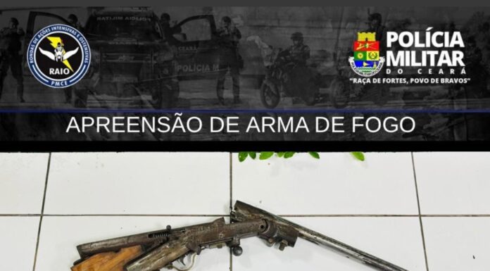 RAIO apreende armas de fogo em Novo Oriente